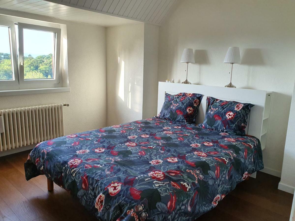 Appartement Entre Monts et Lac court et moyen séjour Nyon Extérieur photo
